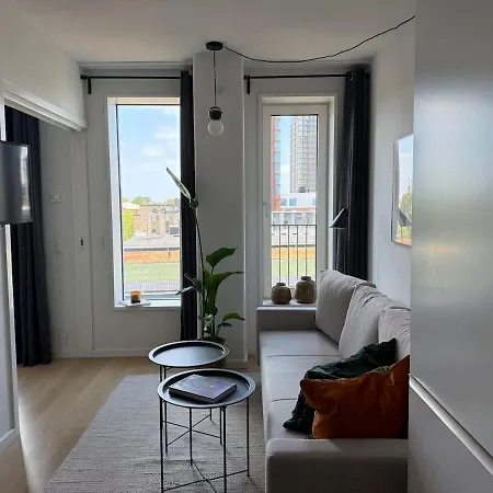 Elegant Cozy Modern