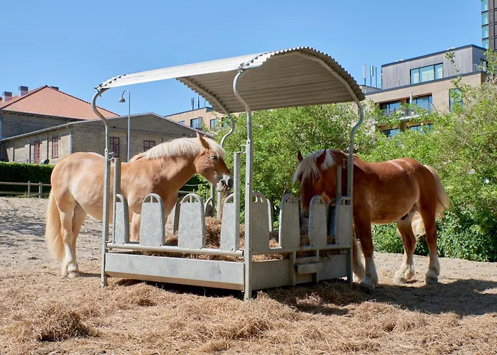 Elegant Cozy Modern Free Parking * Копенгаген